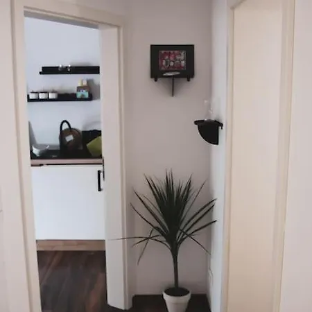 Schoene Wohnung Top Lage Koeln Work & Relax & Travel Frechen Esterno foto