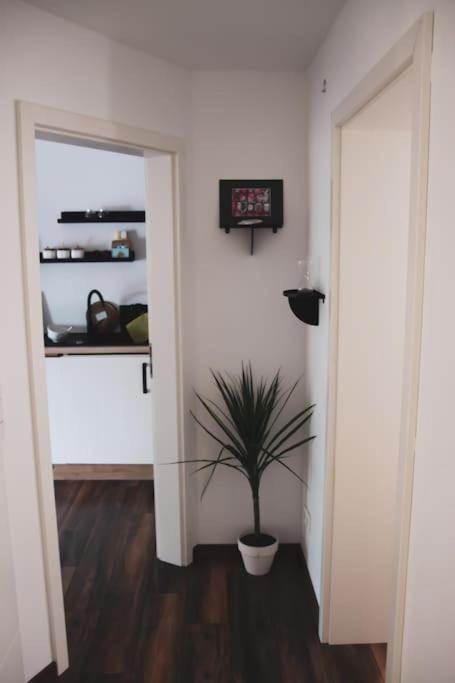 Schoene Lage Koeln Work & Relax & Travel